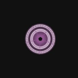Buru - Unexplainable Synchronicity