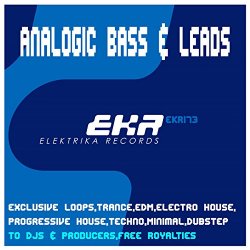 Analogic Bass & Leads Loops