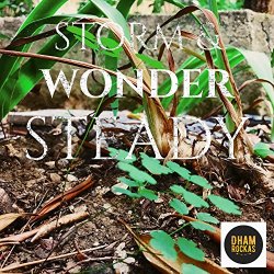 Storm & Wonder - Steady