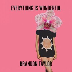 Brandon Taylor - Everything Is Wonderful