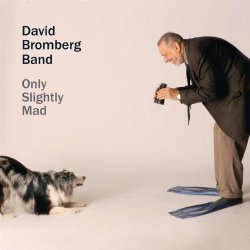 David Bromberg Band - Only Slightly Mad