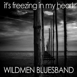 Wildmen Bluesband - It's Freezing in My Heart