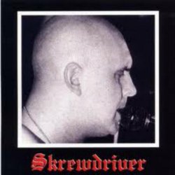 Skrewdriver - Hail the New Dawn