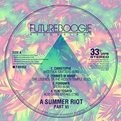 Various Artists - Summer Riot VI