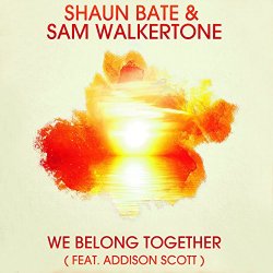 Shaun Bate And Sam Walkertone feat - We Belong Together