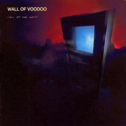 "Wall Of Voodoo - Mexican Radio