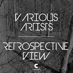   - Retrospective View