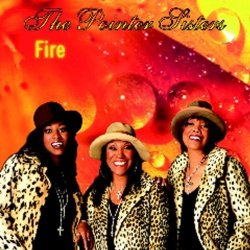 01-The Pointer Sisters - Fire