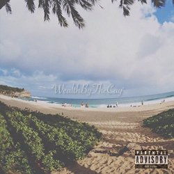 [Rap]Rah Vision - WealthByTheCay [Explicit]