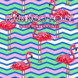 [House]Various Artists - Flamingo House Spectacular Selection