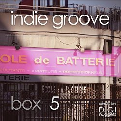 Various Artists - Indie Groove Box, Vol. 5