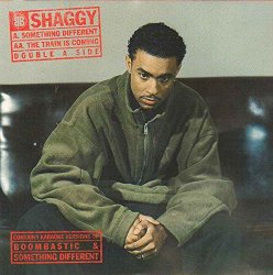 Shaggy - Something different/The train is coming (1995/96)