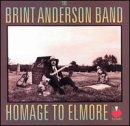 The Brint Anderson Band - Homage to Elmore