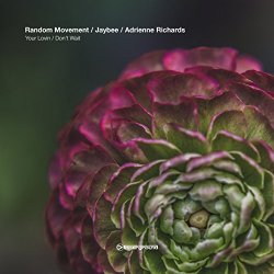 Jaybee and Random Movement - Your Lovin' / Don't Wait