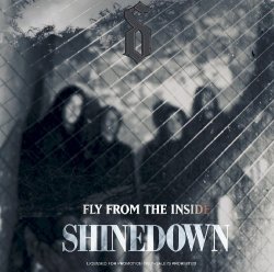 Shinedown - Fly From The Inside