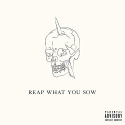 [Rap]Bizzy Crook - Reap What You Sow [Explicit]