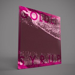 Golden Syrup - Take Care