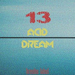 Acid Dream, Vol. 13