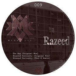 Razeed - Megavirus Records 009