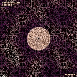 Echoton - Space Is Where the Happy People Go