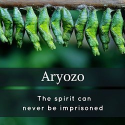 Aryozo - The spirit can never be imprisoned