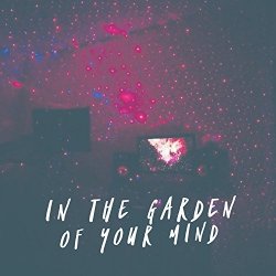 Mickey Shiloh - In the Garden of Your Mind [Explicit]