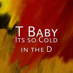 T Baby - Its so Cold in the D [Explicit]