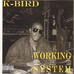 Bird - Workin the System [Explicit]