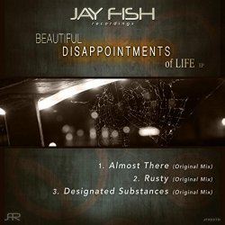 Jay Fish - Beautiful Disappointments of Life