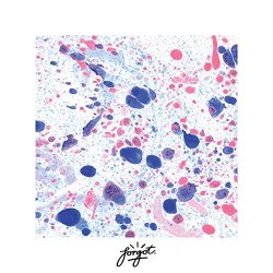 Various Artists - Forgot 001