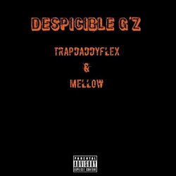 mellow and trapdaddyflex - Despicible G'z [Explicit]