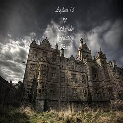 XIII - Asylum 13