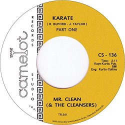 Mr. Clean and the Cleansers - Karate