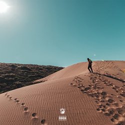 Rexx Life Raj - 2Free [Explicit]