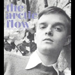 The Arctic Flow - Dreams You'll Never Find