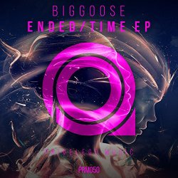 Biggoose - Ended (Original Mix)