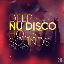 Various Artists - Deep Nu Disco House Sounds, Vol. 2