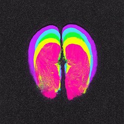 Pink Kink - Bubblebutt