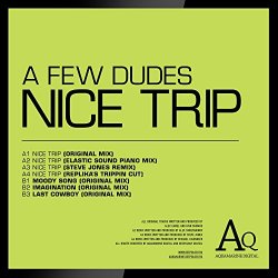 A Few Dudes - Nice Trip