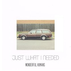 Wonderful Humans - Just What I Needed