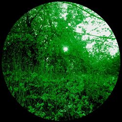 David Moran1 - Spherical Shift