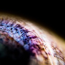 Emptyset - Skin