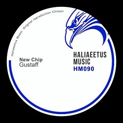 Gustaff - New Chip