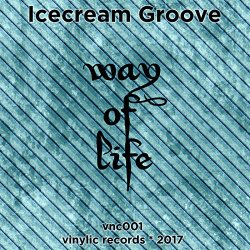 Icecream Groove - Way of Life