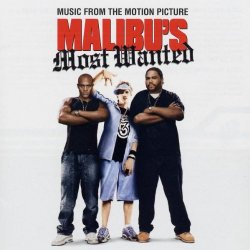 Various Artists - Malibu's Most Wanted