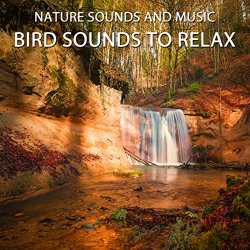 Nature Sounds And Music - Bird Sounds to Relax