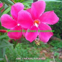 Mr - Powered By Green Smoothies