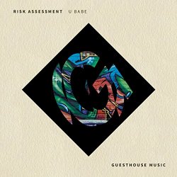 Risk Assessment - U Babe