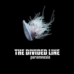 Divided Line, The - Paramnesia