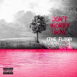 Tagmg - Don't Worry Now (The Flood) [Explicit]